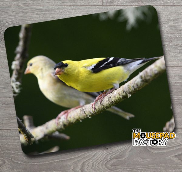 American Goldfinch Pair Bird Mouse Pad