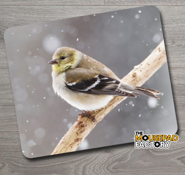 American Goldfinch Female Bird Mouse Pad