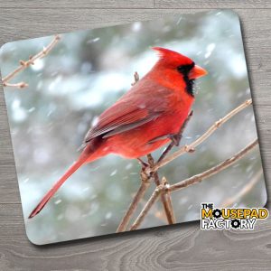 Red Cardinal Bird Mouse Pad