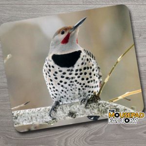 Northern Flicker Bird Mouse Pad