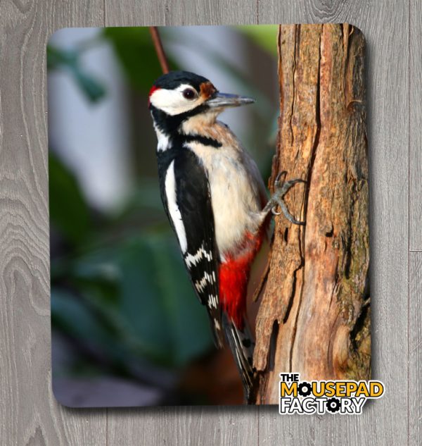 Great Spotted Woodpecker Mouse Pad