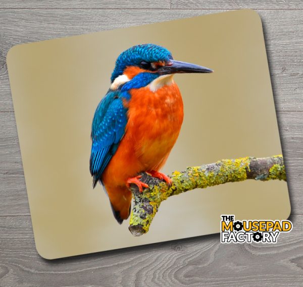 Kingfisher on Perch Mouse Pad