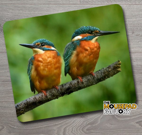 Kingfisher Pair Mouse Pad
