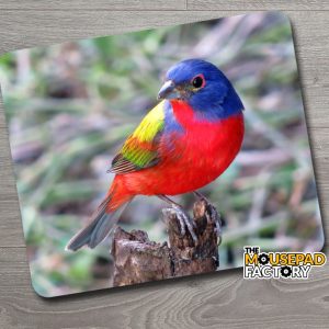 Painted Bunting Bird Mouse Pad