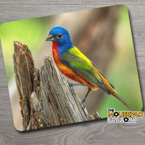 Painted Bunting Male Bird Mouse Pad