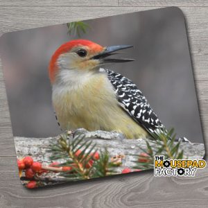 Red Bellied Woodpecker Mouse Pad