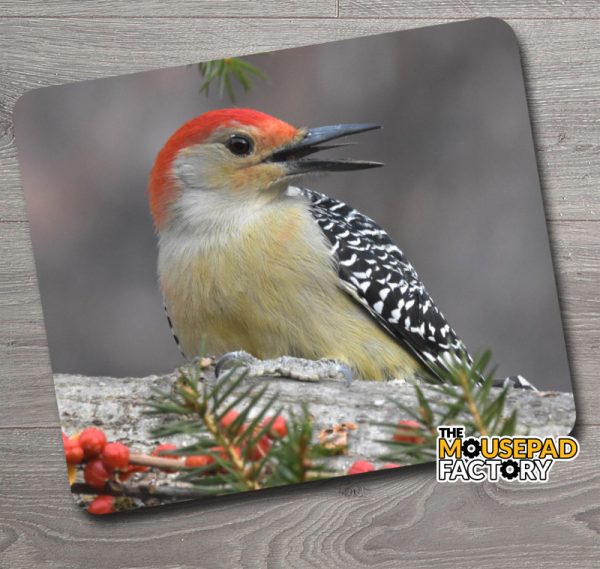 Red Bellied Woodpecker Mouse Pad
