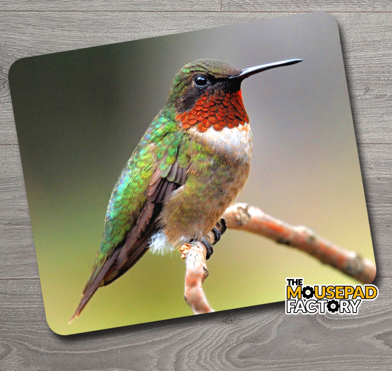 Ruby-throated Hummingbird Mouse Pad - The Mousepad Factory