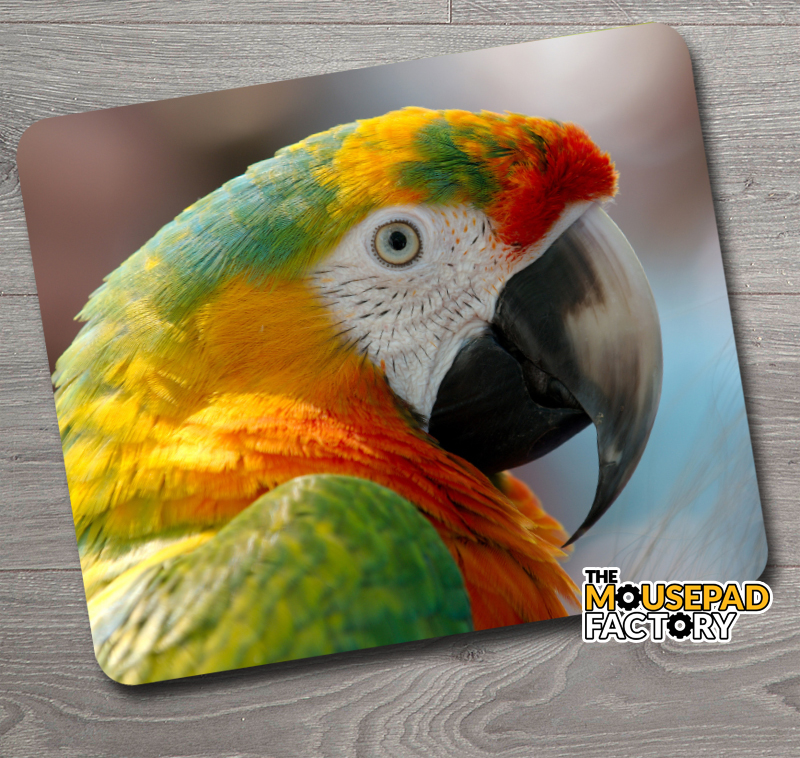 Rainbow Macaw Parrot Mouse Pad - The Mousepad Factory