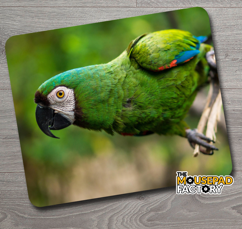 Green Macaw Parrot Mouse Pad - The Mousepad Factory