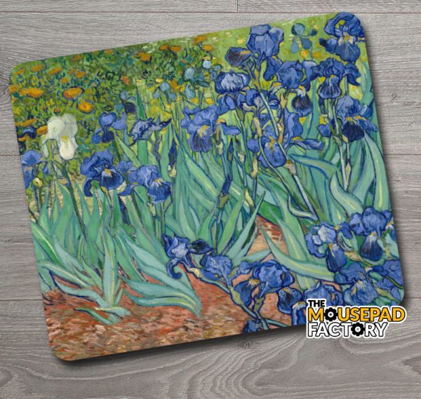 Vincent van Gogh Irises (1889)