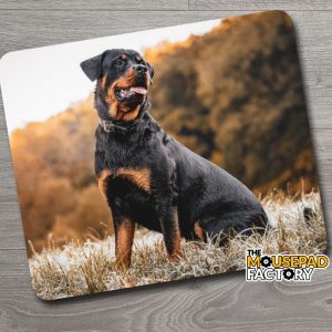 Rottweiler Dog Pure-breed Mouse Pad