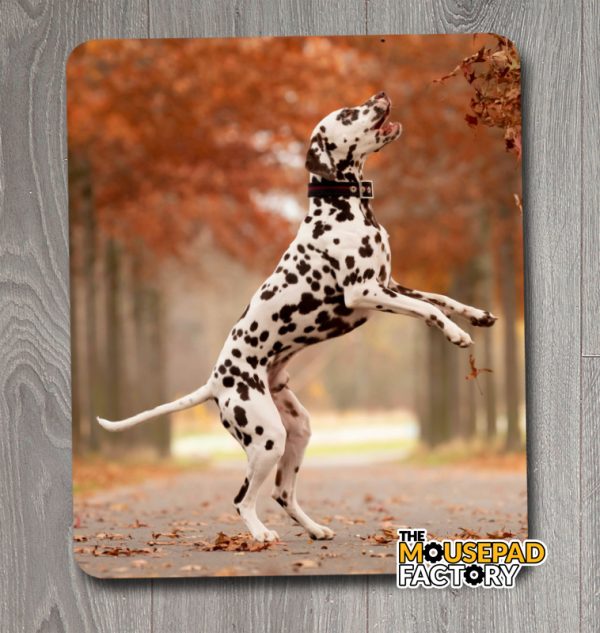 Dalmatian Dog Pure-breed Mouse Pad