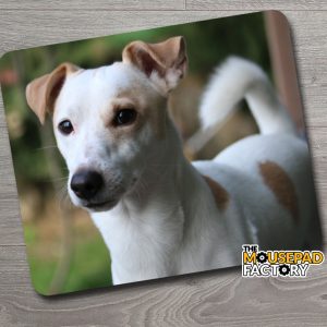 Jack Russel Terrier Dog Mouse Pad