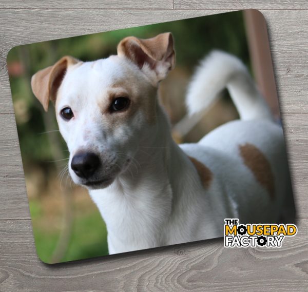 Jack Russel Terrier Dog Mouse Pad