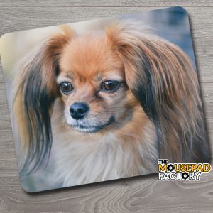 Papillon Toy Dog Mouse Pad