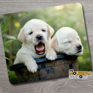 Golden Labrador Retriever Puppies Mouse Pad
