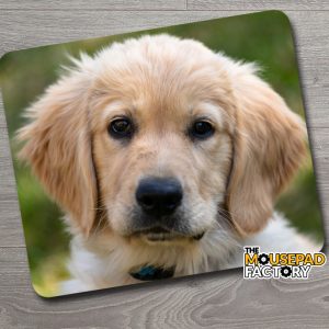 Golden Retriever Puppy Dog Mouse Pad