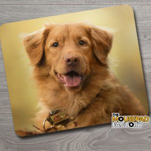 Golden Retriever Dog Purebred Mouse Pad