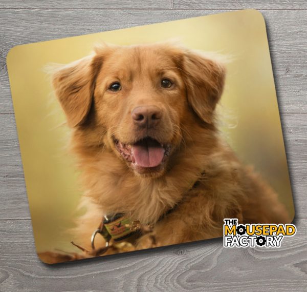 Golden Retriever Dog Purebred Mouse Pad