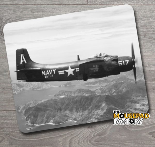 WW II Skyraider Fighter Plane