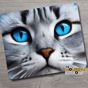 Cat with Blue Eyes